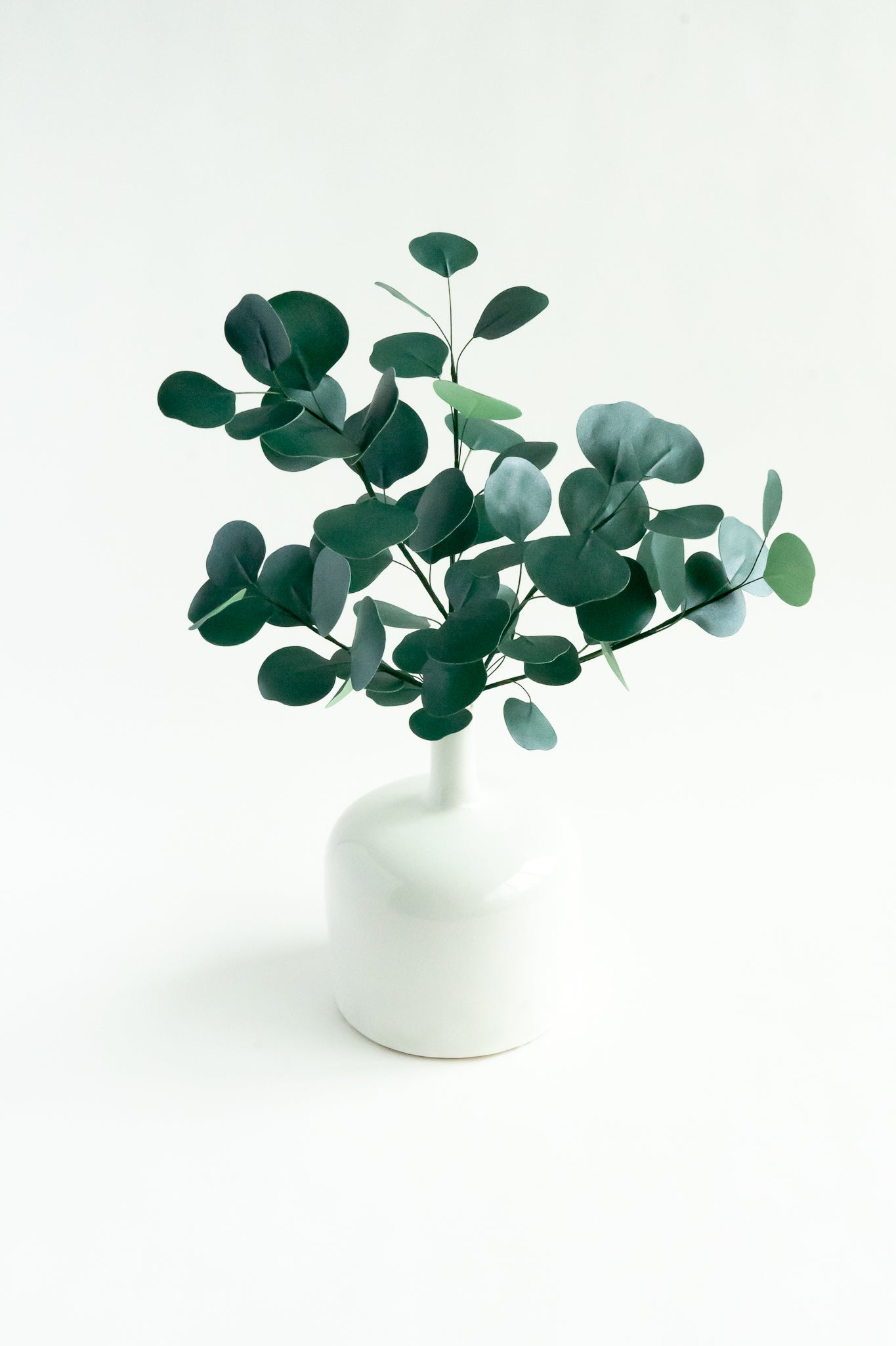 Decorative paper foliage - Eucalyptus silver dollar