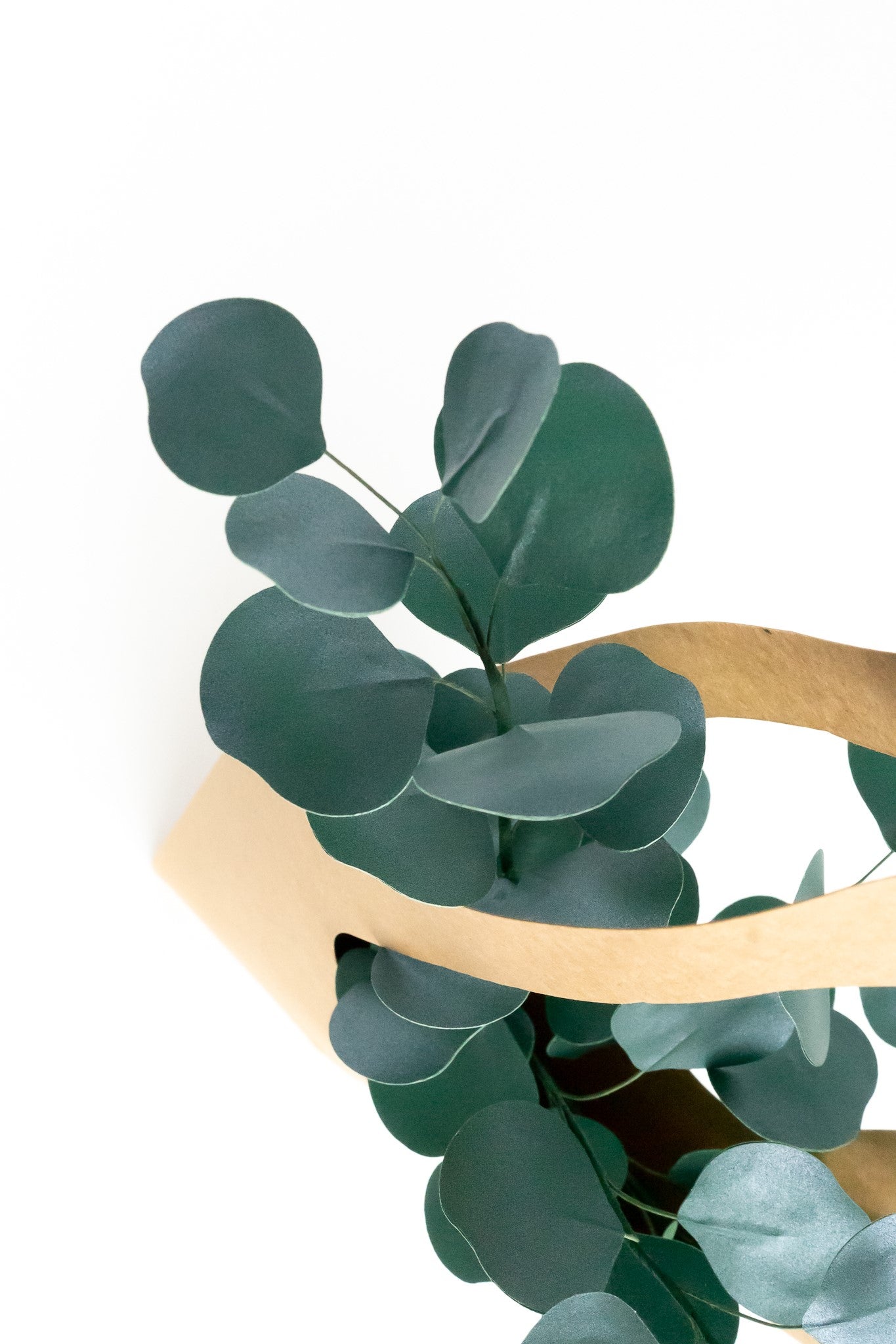 Decorative paper foliage - Eucalyptus silver dollar