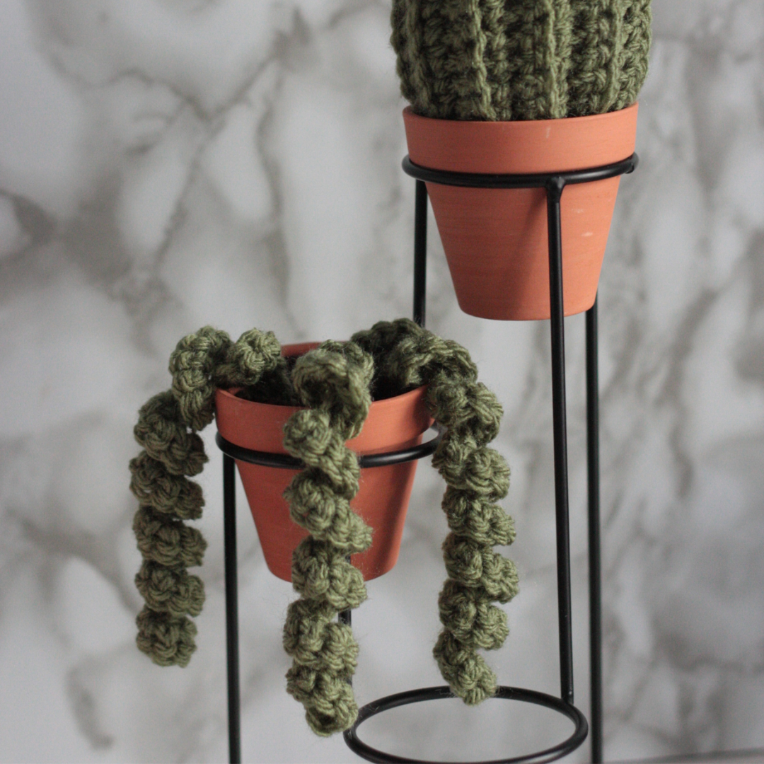 Atelier crochet débutant - Viens créer ton cactus ou ta petite citrouille