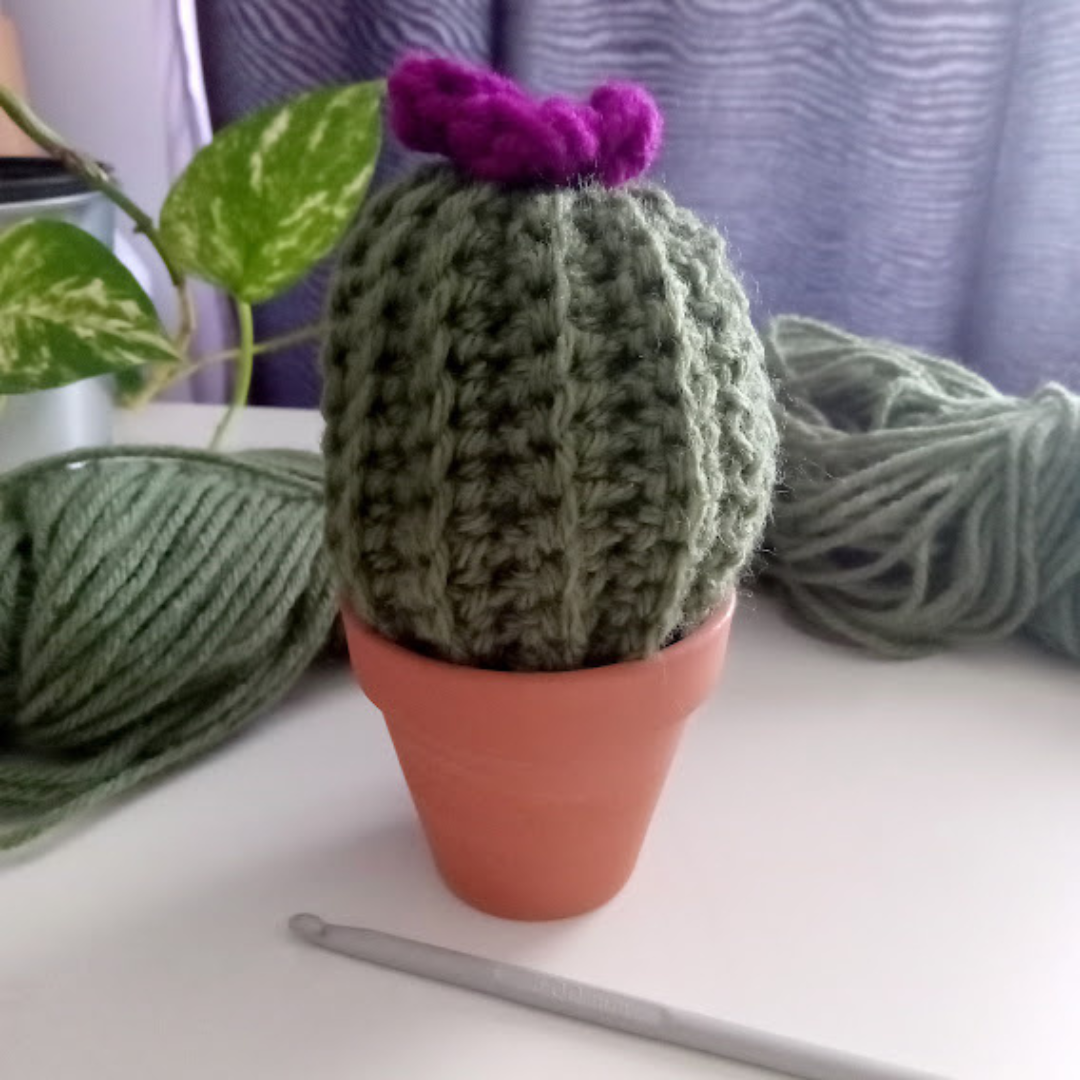 Atelier crochet débutant - Viens créer ton cactus ou ta petite citrouille